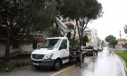 Aydın Büyükşehir Belediyesi'nden Efeler'in yeşil alanlarına bakım