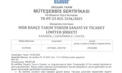BAKKA destekleriyle safran üretiminde organik üretime geçildi