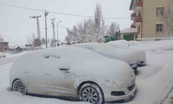 Başkale'de araçlar kara gömüldü: 32 yerleşim yerinin yolu ulaşıma kapandı