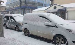 Başkale'de kar yağışı