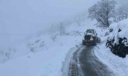 Batman'da 115 yerleşim yerinin yolu kardan kapandı