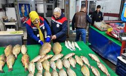 Beyşehir Gölünde avcılık falliyetleri denetim altındı