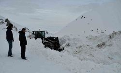 Beytüşşebap'ta kar kalınlığı yer yer 3 metreyi buldu