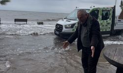 'Birazdan balıklar gelir' dedi, kuşlar sahil yolunda avladı