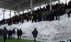 Bitlis Spor 1916 evinde puan kaybetti