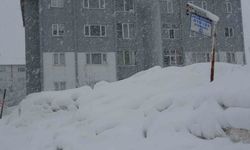 Bitlis'te 304 köy yolu kar nedeniyle ulaşıma kapandı