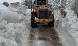 Bitlis'te ulaşım için 5 metrelik kar engelini aştılar