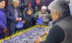 Bolu'da balık tezgahlarında hamsi bolluğu