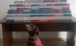 Bolu'da binlerce elektronik sigara kiti ele geçirildi