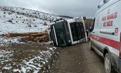 Bolu'da tomruk yüklü tır devrildi: 1 yaralı