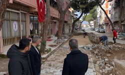 Buharkent'te bozulan yollar yenileniyor