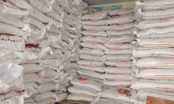 Burhaniye de Yağmurlar yağdı gübre satışları arttı