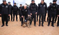 Bursa afetlere karşı dirençli hale geliyor