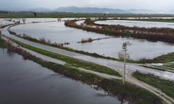 Büyük Menderes nehrindeki taşkın karayolunu kapattı