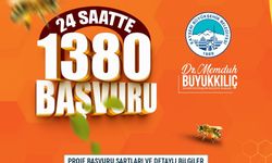 Büyükşehir'in Arılar Çoğalsın Bereket Katlansın Projesi'ne yoğun ilgi: 24 saatte bin 380 başvuru