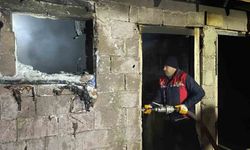 Çaldıran'da odunluk yangını