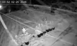 Çankırı'da kar yağışı etkili oluyor