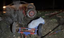 Ceylanpınar'da otomobil, at arabasına çarptı: 2 yaralı