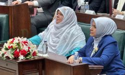 Deprem bölgesi için tarihi finansman modeli