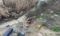 Dere yatağına düşen oğlağı kurtarmak isteyen kadın mahsur kaldı