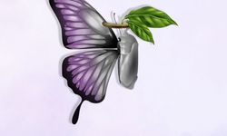 Didim Belediyesi'nden Ergenlik ve İlk Gençlikte Kadın Sağlığı Eğitimi