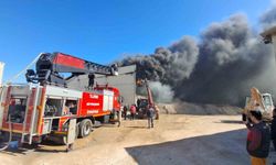 Didim sanayisindeki yangın korkuttu