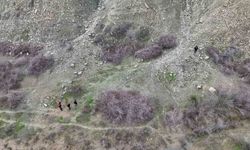 Diyarbakır'da 18 gündür kayıp engelli adamı arama çalışmaları sürüyor