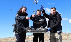 Doğu'nun gizli denizinde şefkat eli: Polis ekipleri martı ve tavşanları unutmadı