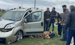 Dönel kavşakta direğe çarpan aracın sürücüsü yaralandı