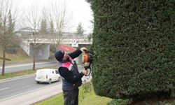 Düzce'de bahar hazırlıkları başladı