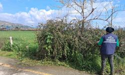 Efeler'in yeşil alanlarında temizlik çalışması sürüyor