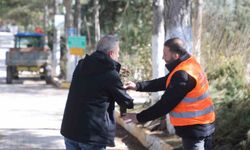 Elazığ Belediyesi'nden vatandaşlara ücretsiz fidan desteği