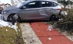 Elazığ'da otomobil kaldırıma çıktı: 1 yaralı