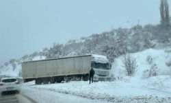 Elazığ'da şarampole kayan tır kara saplandı