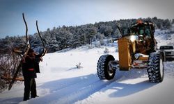 Erzincan'da kar ve tipiden 494 köy yolu ulaşıma kapandı