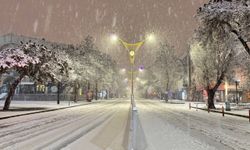 Erzincan'da kar yağışı hayatı olumsuz etkiledi