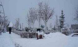 Erzurum'da kar yağışı etkili oluyor