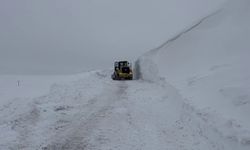 Erzurum'un Tekman ilçesinde kar kalınlığı 5 metreyi buldu