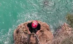 Falezlerde mahsur kalan kediyi film gibi operasyonla kurtardılar