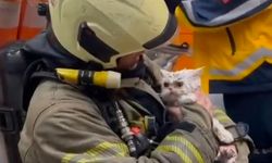 Fatih'te metruk binada çıkan yangın yanındaki ahşap binaya sıçradı: Bir kedi kurtarıldı