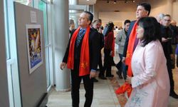 Fethiye'deki 'Çin At Yılı' temalı sergi yoğun ilgi gördü