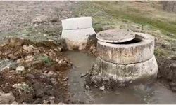 Gerede Havzası'ndaki kirlilik nedeniyle ASKİ'ye 2 milyon lira ceza