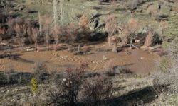 Göksu nehri taştı, tarım arazileri sular altında kaldı