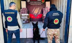 Gümrükler Muhafaza Kaçakçılık ve İstihbarat birimlerince gerçekleştirilen operasyonlarda 4,6 milyar lira değerinde ilaç ve uyuşturucu madde ele geçirildi