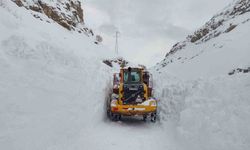 Hakkari-Çukurca yolunda çığ paniği: O anlar kamerada