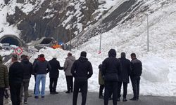 Hakkari-Van kara yoluna çığ düştü