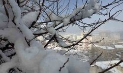 Hakkari'de 144 yerleşim yerinin yolu ulaşıma kapandı