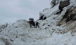 Hakkâri'de çığ düştü: Öğrenci servisi yolda kaldı