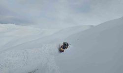 Hakkari'de karla mücadele: 143 yerleşim yerinin yolu ulaşıma açıldı