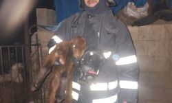 Hatay'da ahırda korkutan yangın